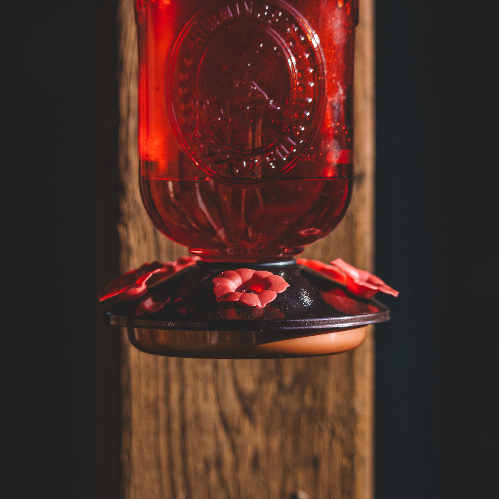 Backyard Expressions Red Embossed Oval Glass Hummingbird Feeder with Feeding Ports