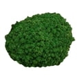 thumbnail image 2 of Musgo artificial decorativo de pared de 25 g, adornos realistas para decoración del hogar y dormitorio. Verde oscuro, 2 of 9