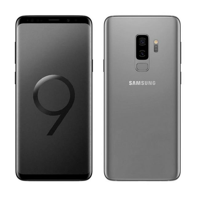 Téléphone Intelligent Déverrouillé Samsung Galaxy S9 Gris 64 Go Remis à Neuf Bon