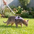 thumbnail image 4 of Adjustable Airtag Holder Cat Vest Harness with 1.5M Matching Leash, Escape Proof Reflective Pet Chest Harness for Kittens & Small Cats 3 to 8 Pounds Outdoor Walking, 4 of 7