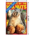 thumbnail image 3 of Avanti - Squirrel - Grab Life By The Walnuts Wall Poster, 14.725" x 22.375", 3 of 3