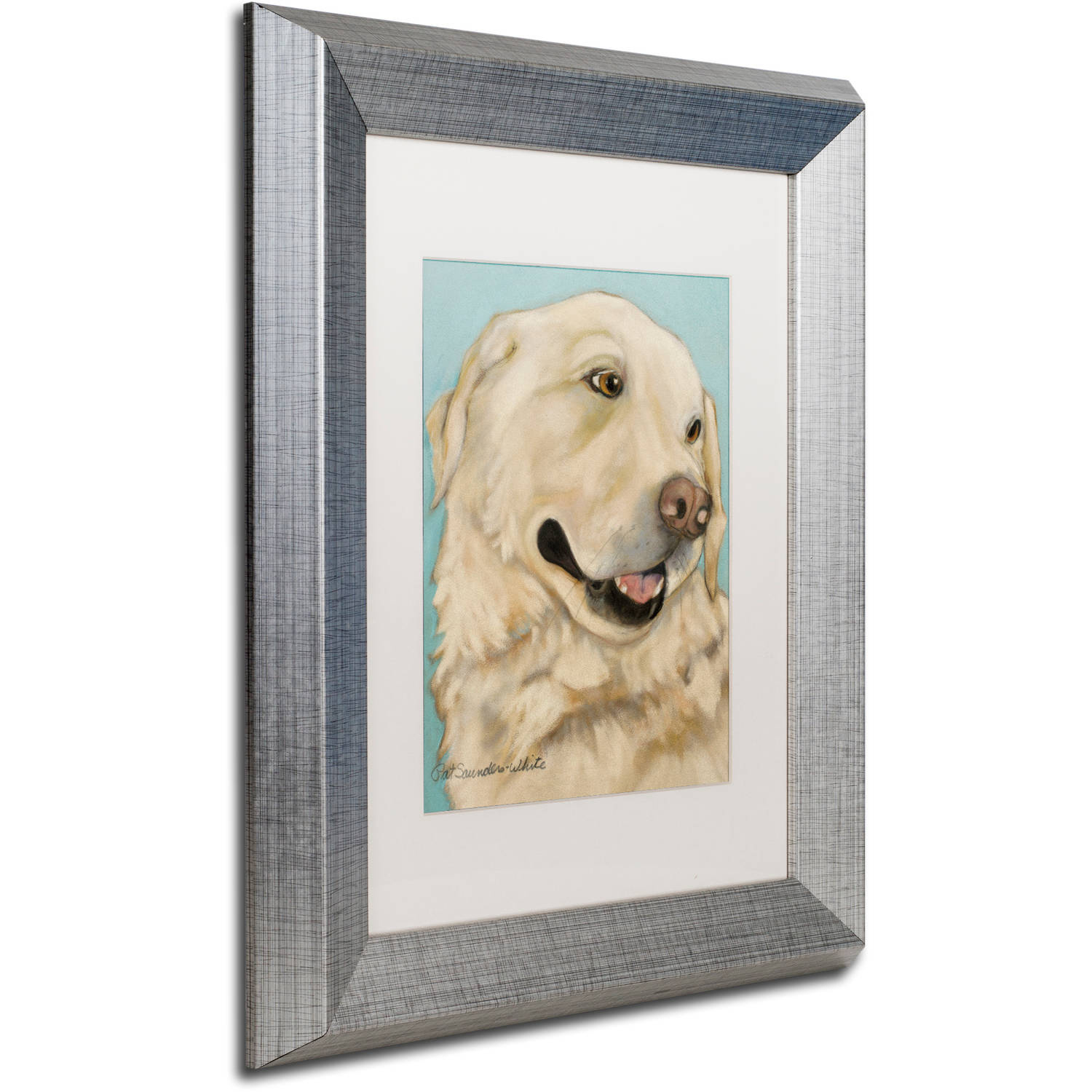 Trademark Fine Art "Jasper" Canvas Art by Pat Saunders-White, White Matte, Silver Frame