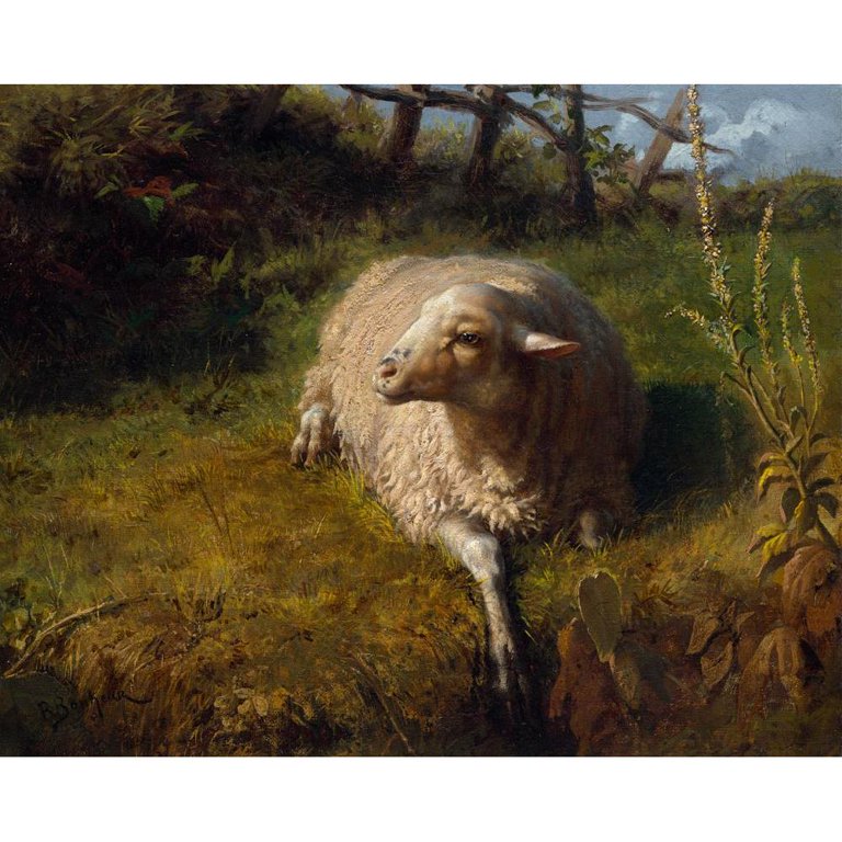 Rosa Bonheur 14x12 Black Modern Framed Museum Art Print Titled - A