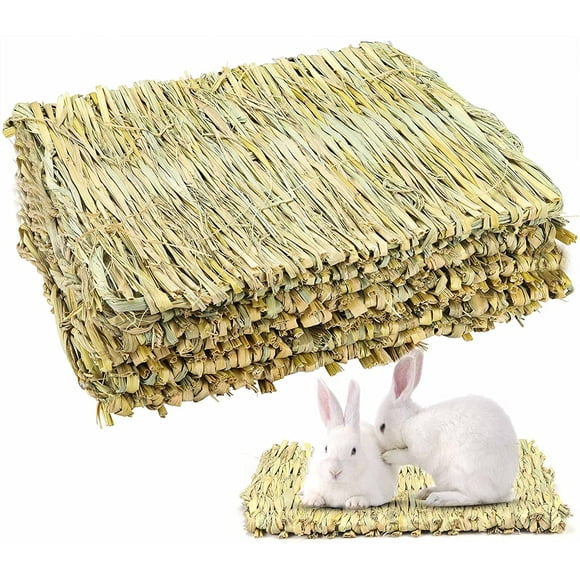 Bunny Chew Toys for Teeth, Molar Rabbit Toys Natural Organic Apple Sticks for Rabbits, Chinchillas, Guinea Pigs, Hamsters Chewing Playing Improve Dental Health