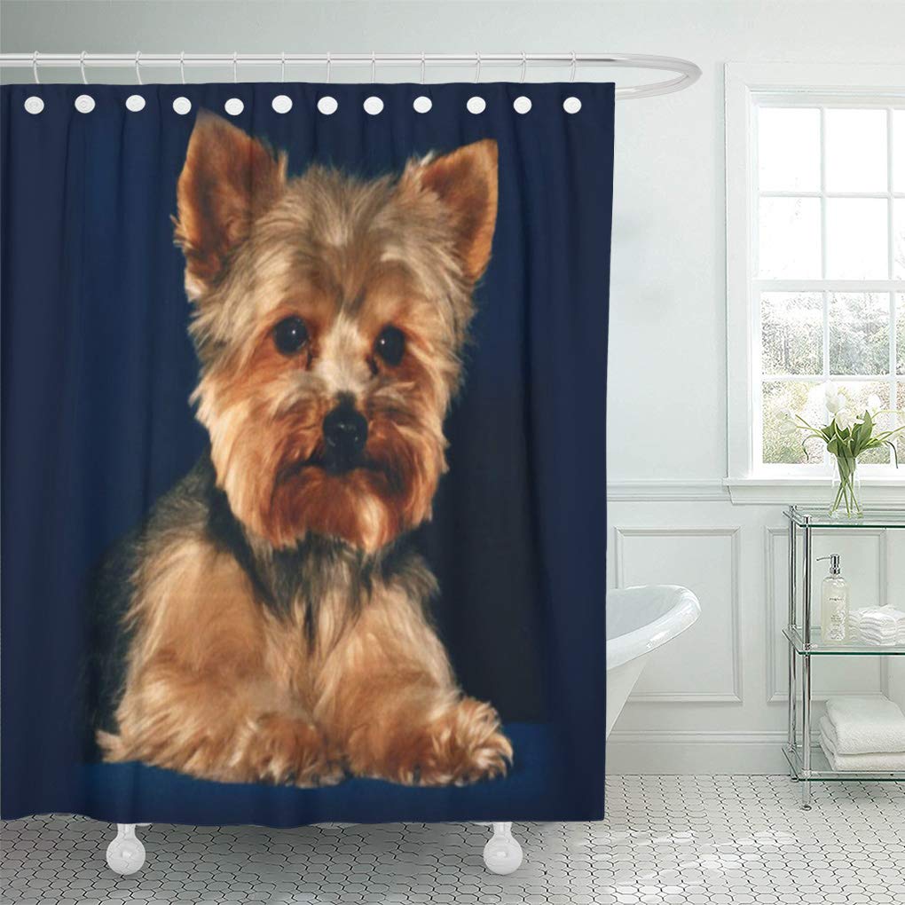 SUTTOM Yorkies Yorkie Pets Dogs Office Unique Science Shower Curtain