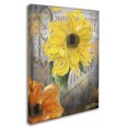 thumbnail image 2 of Trademark Fine Art "Sunflower Studio" Canvas Art by Color Bakery, 2 of 3