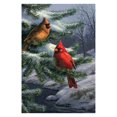thumbnail image 1 of Toland Home Garden Two Cardinals 28 x 40 Inch Decorative Winter Snow Bird House Flag (1010432), 1 of 1