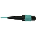 thumbnail image 4 of Tripp Lite N844X-05M-8L-P Fiber Optic Duplex Trunk Network Cable, Aqua Jacket, Beige Connector, Black Connector, 4 of 5