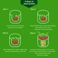 thumbnail image 4 of Bolsas de cultivo de patatas con solapa de 10 galones, paquete de 4 macetas con asas y ventana de cosecha para tomate de patata y verduras, 4 of 5