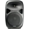 ION Audio Total PA - Speaker - for PA system - wireless - Bluetooth - 150 Watt - 2-way
