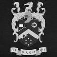 thumbnail image 3 of CafePress - Pi Alpha Phi Crest Greyscale T Shirt - Womens Tri-blend T-Shirt, 3 of 4