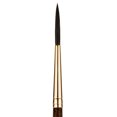 thumbnail image 1 of CEPILLO DIXON TIC/PRINCETON DIXON TIC/PRINCETON BRUSH  PB4750SC1, 1 of 7
