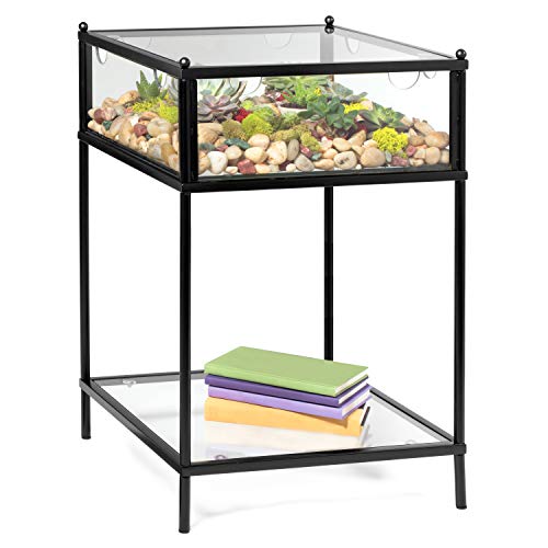 Square Terrarium Display End Table with Reinforced Glass in Black Iron