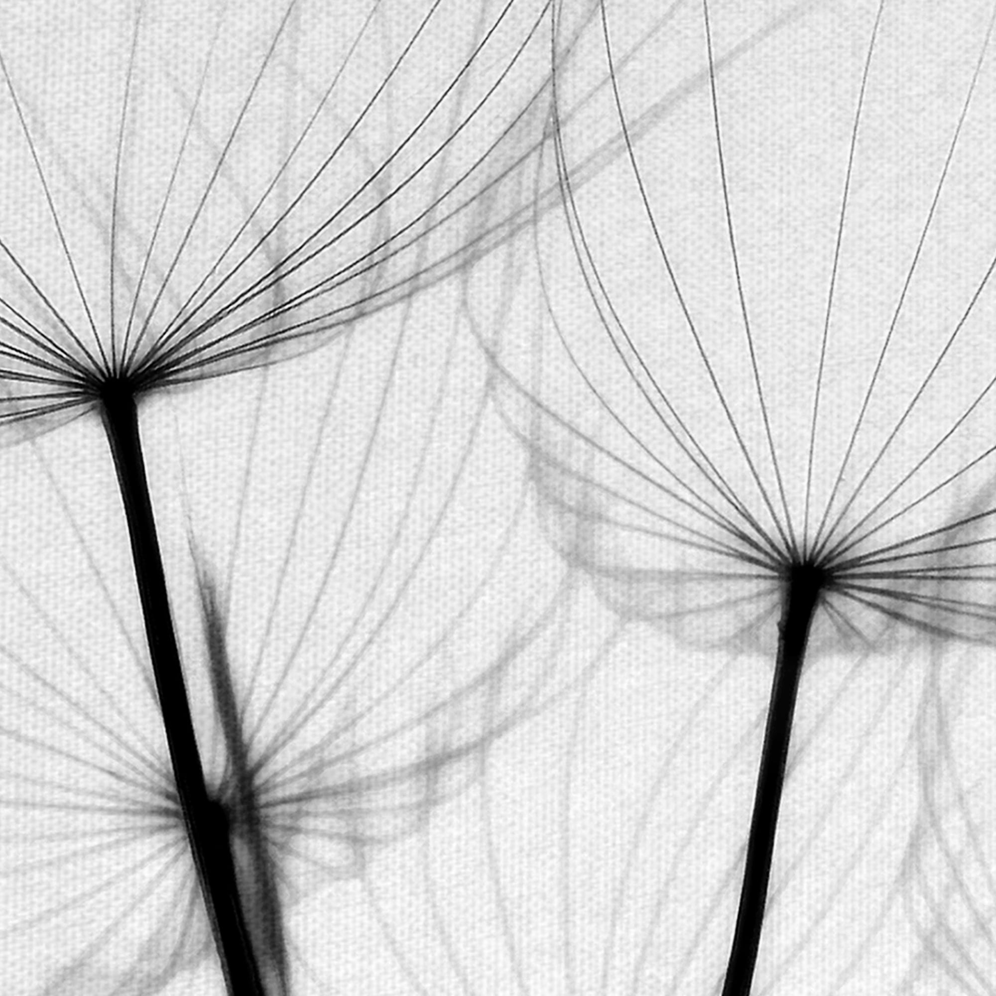 Masterpiece Art Gallery Whispers Prairie Smoke By Ilona Wellmann Canvas Art Print 24" x 36"