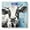 Color3399, variant on Bathroom Scale, Highly Accurate Digital Body Scale,Precisely Measures Weight up to 400 lbs-Beautiful Tropical Beach With Palm Trees And Blue Waves