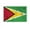 4x6 ft Nylon Flag, variant on AGAS Guyana Nautical Flag 12x18 inch Mini Guyanese National Flag Outdoor 200D Nylon Double Stitched Hem Rust Proof Brass Grommets Canvas Header Guyanese National Boat Flag