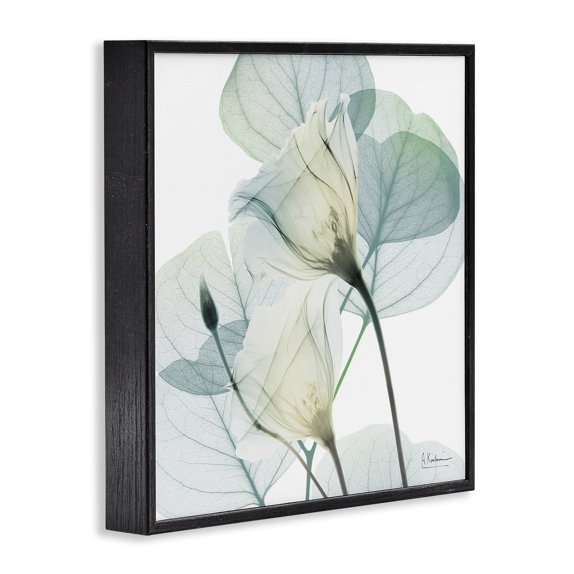 Stupell Industries Divine Fate Petals Black Framed Giclee Art, design by Albert Koetsier
