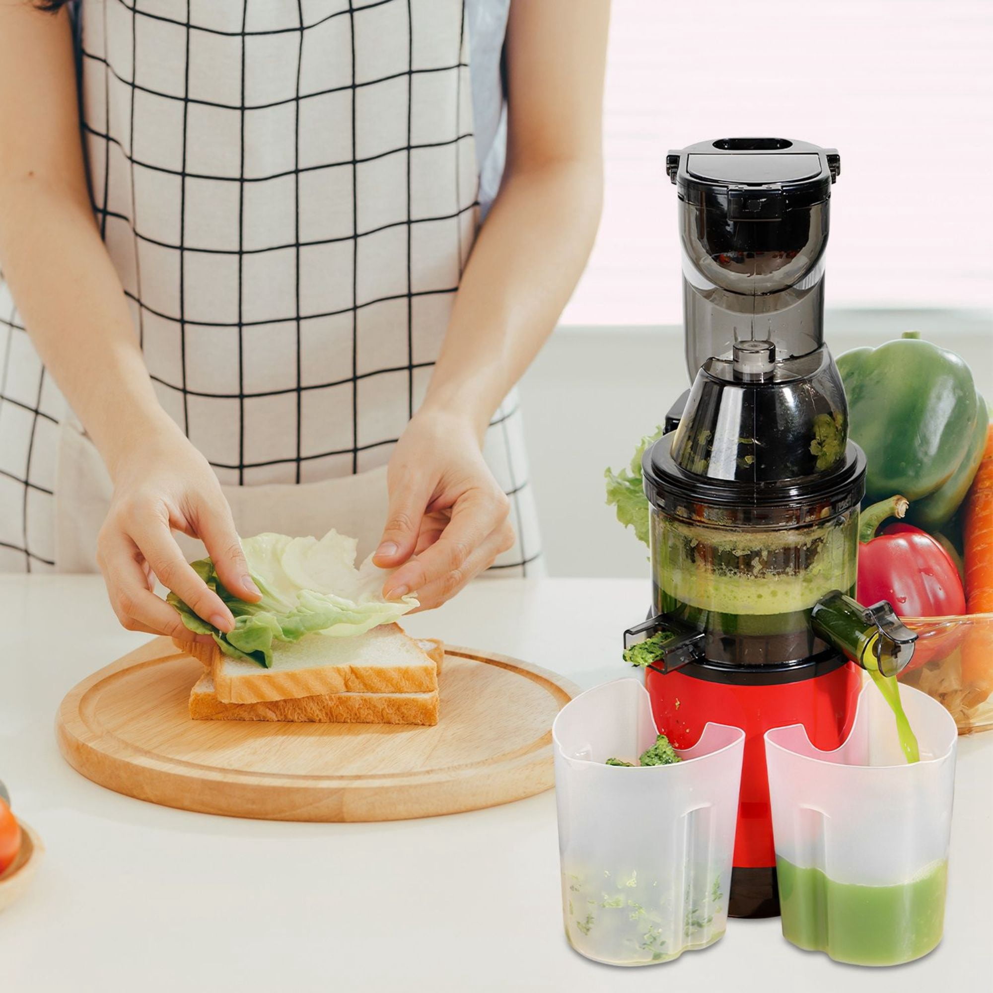 300W Cold Press Juicer Machine - Slow Masticating Juicer for Fruits & Veggies