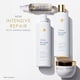 thumbnail image 5 of Dove Nutritive Solutions Shampoo, Intensive Repair 12 oz (Pack of 4), 5 of 15