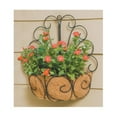 thumbnail image 1 of Metal Peacock Wall Basket With Coco Liner, 1 of 1