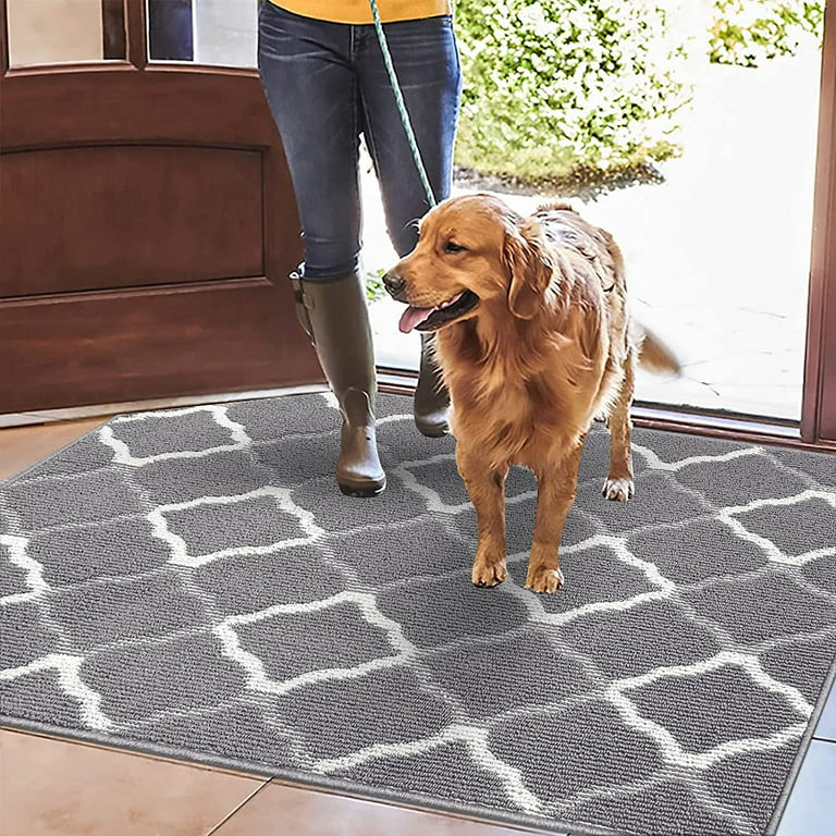 Door mat Indoor, Front Doormats, Non-Slip Entryway Rug Resist 20x32 Grey