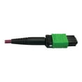 thumbnail image 3 of Eaton Tripp Lite Series 400G Multimode 50/125 OM4 Plenum Fiber Optic Breakout Cable, 16F MTP/MPO-APC to (x4) LC Duplex (F/M), Magenta, 3 m - Breakout cable - MTP/MPO/APC multi-mode (F) to LC multi-mode (M) - 3 m - fiber optic - duplex - 50 / 125 micron - OM4 - plenum - black, magenta, green, aqua, 3 of 4
