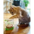 thumbnail image 4 of Shameless Pets Catnip N Chill Crunch Cat Treats 2.5 oz., 4 of 6