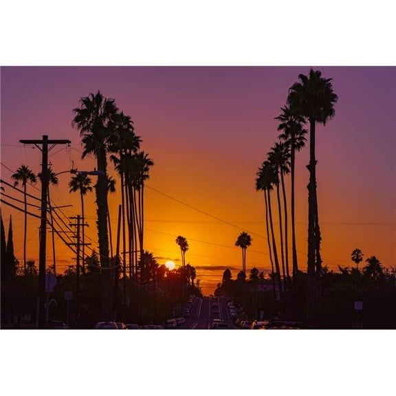 36 x 24 in. University Heights, San Diego Palm Tree Sunset Fine Print Wall Art