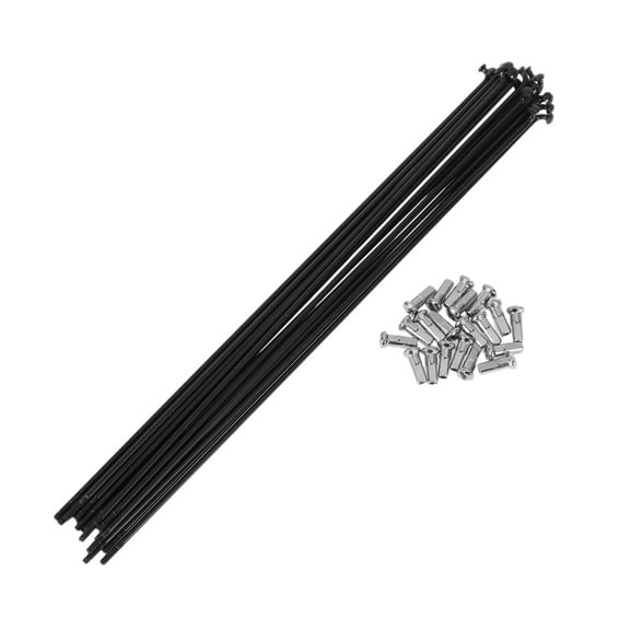 20 Set 13G Bicycle Spokes 231mm Bike Wheel Spokes 304 Stainless Steel Black