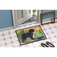 thumbnail image 4 of Carolines Treasures SS8347MAT 18 x 27 in. Puli Indoor Outdoor Doormat, 4 of 4