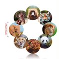 thumbnail image 4 of 500 Piezas Pegatinas de Animales Pegatinas en Rollo de Animales del Zoológico Etiqueta Autoadhesiva de 1 Pulgada Calcomanías de Pared con Forma de Animal para Favores de Fiesta Infantil, 8 Estilos, 4 of 5