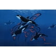 thumbnail image 2 of Stevenson, Graeme 14x11 Black Ornate Wood Framed with Double Matting Museum Art Print Titled - Blue Orcas, 2 of 4
