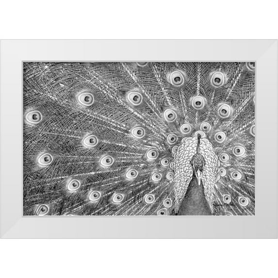 Murdock, Ramona 32x23 White Modern Wood Framed Museum Art Print Titled - Peacock