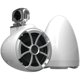 thumbnail image 1 of Bocinas de Torre Marinas Wet Sounds ICON 8 W-SC 300W 8 PLG, 1 of 6