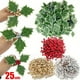 thumbnail image 1 of Kit de bordado DIY para principiantes con diseños florales europeos, 3 agujas, tela estampada, instrucciones y bastidor de 20 cm. NCHKUN, 1 of 4