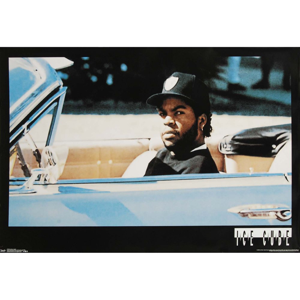 Ice Cube Domestic Poster