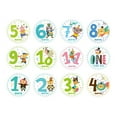 thumbnail image 1 of 12 Uds. mensuales para bebés, para del recién nacido, etiquetas adhesivas para álbumes de recortes, de perfecl Tarjetas de registro mensuales, 1 of 4