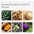 thumbnail image 3 of Livingood Daily Greens & Superfood Powder, Super Greens for Gut Health, Green Juice Powder with Spirulina, Chlorella, and Digestive Enzymes, Probiotics for Digestive Support, Chocolate, 30 Servings, 3 of 8