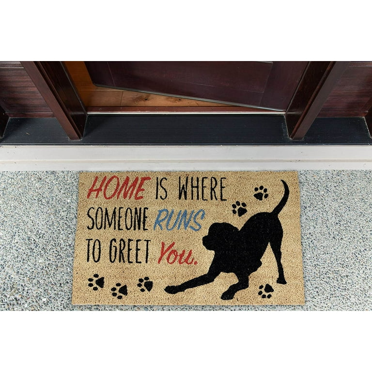 Softlife Chenille Dog Doormats Indoor Entrance,Pet Indoor Door