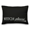 thumbnail image 2 of Creative Products Black and White Witch Please 14x20 Spun Poly Pillow, 2 of 3