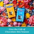 thumbnail image 4 of GHIRARDELLI Milk Chocolate Bunnies, Solid Milk Chocolate Bunnies, 5.9 oz Bag, 4 of 7