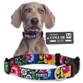 thumbnail image 1 of Collar para perros Lucky Love Dog Blackbird para perros pequeños y grandes, 1 of 8