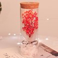thumbnail image 4 of Real Eternal Gypsophila paniculata Bottle Lamp con control remoto LED Night Light Wishing Gift Zhivalor CPB-SSW1689-2, 4 of 5