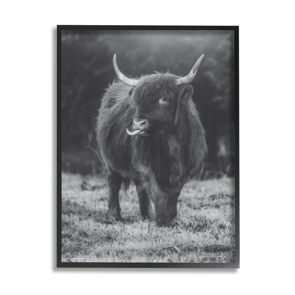 Stupell Monochrome Highland Cow Photography Animals & Insects Photography Black Framed Art Print Wall Art