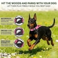 thumbnail image 5 of WAAYEEPAL Upgraded Tactical AirTag Dog Collar for Medium Large Dogs - Heavy Duty Adjustable with AirTag Holder (AirTag Not Included), 5 of 8