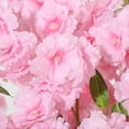 thumbnail image 3 of QinaQin Árbol artificial de cerezo rosa con tronco natural, disponible en 5 o 6 pies, ideal para decoración interior o exterior en hogar y oficina, 3 of 8
