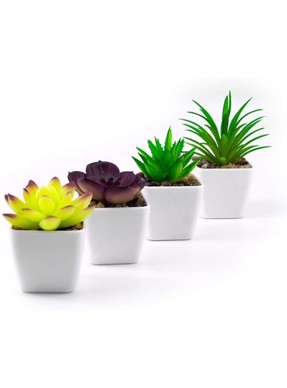 Artificial Succulents in Artificial Plants and Flowers