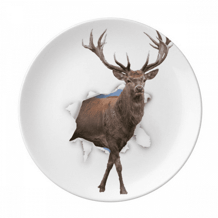 

Animal Paper Break Shocks Plate Decorative Porcelain Salver Tableware Dinner Dish