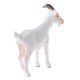 thumbnail image 5 of Realista Plástico Granja Selva Animal Juguete Juego Sunnimix  Juguete de la figura animal, 5 of 6