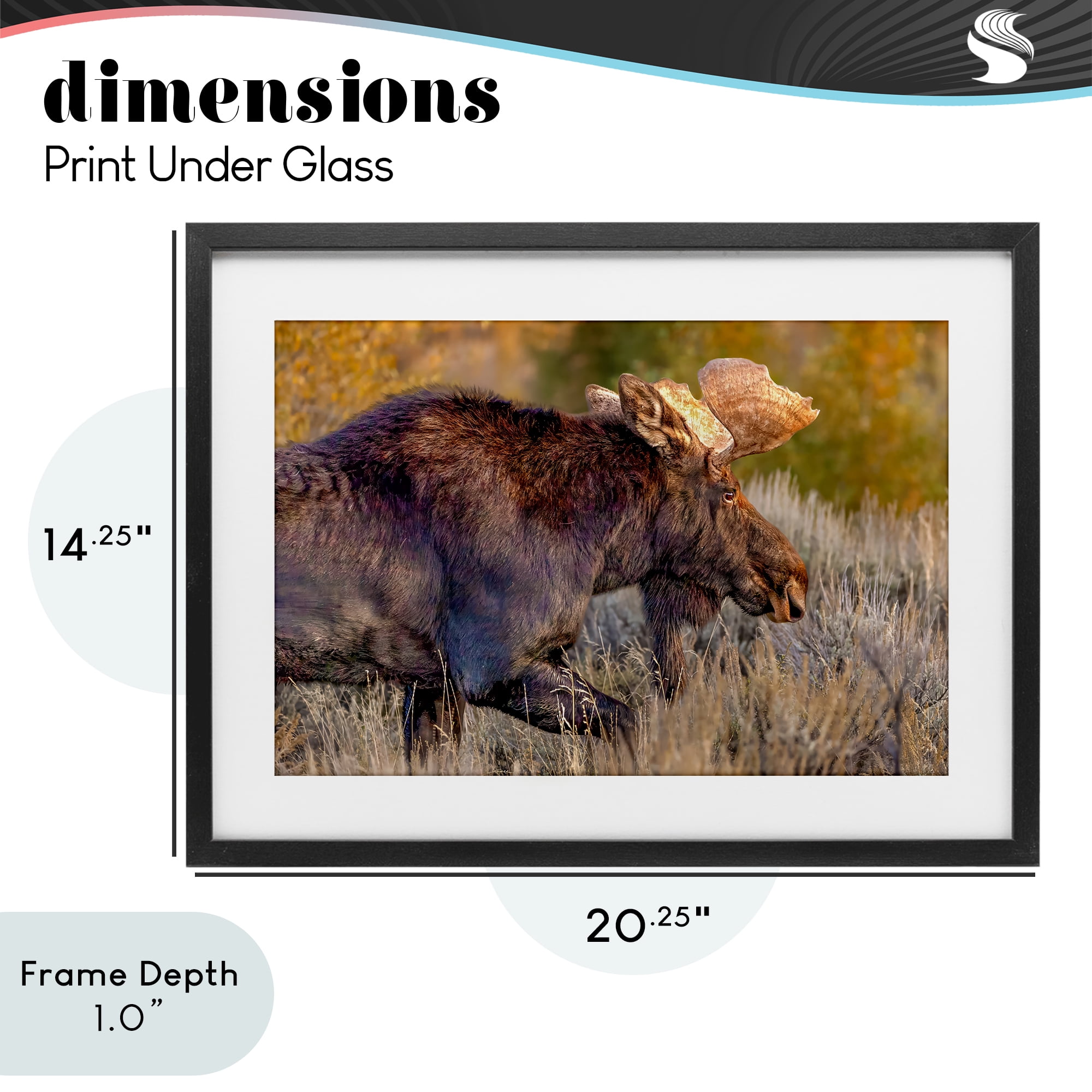 Stupell Industries Bull Moose At Dusk Black Framed Print Under Glass, design by Shelley Carlisle